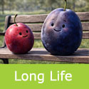 long life Haganta plums