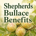 Sheperds Bullace summary of benefits