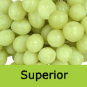 Superior Seedless Grape Vine