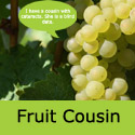 Superior Seedless Grape Vine
