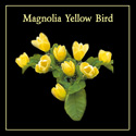 Magnolia Yellow Bird