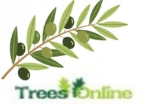 Artificial Olive Trees