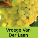 Vroege van der Laan grape vines