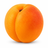 Apricot tree buying guide