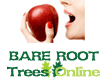 Bare Root Apple