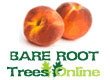 Bare Root Peach