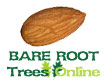 Bare Root Almond