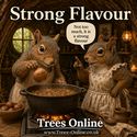 Butler Hazelnut strong flavour