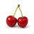 Cherry tree buying guide