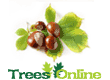 Chestnut Trees