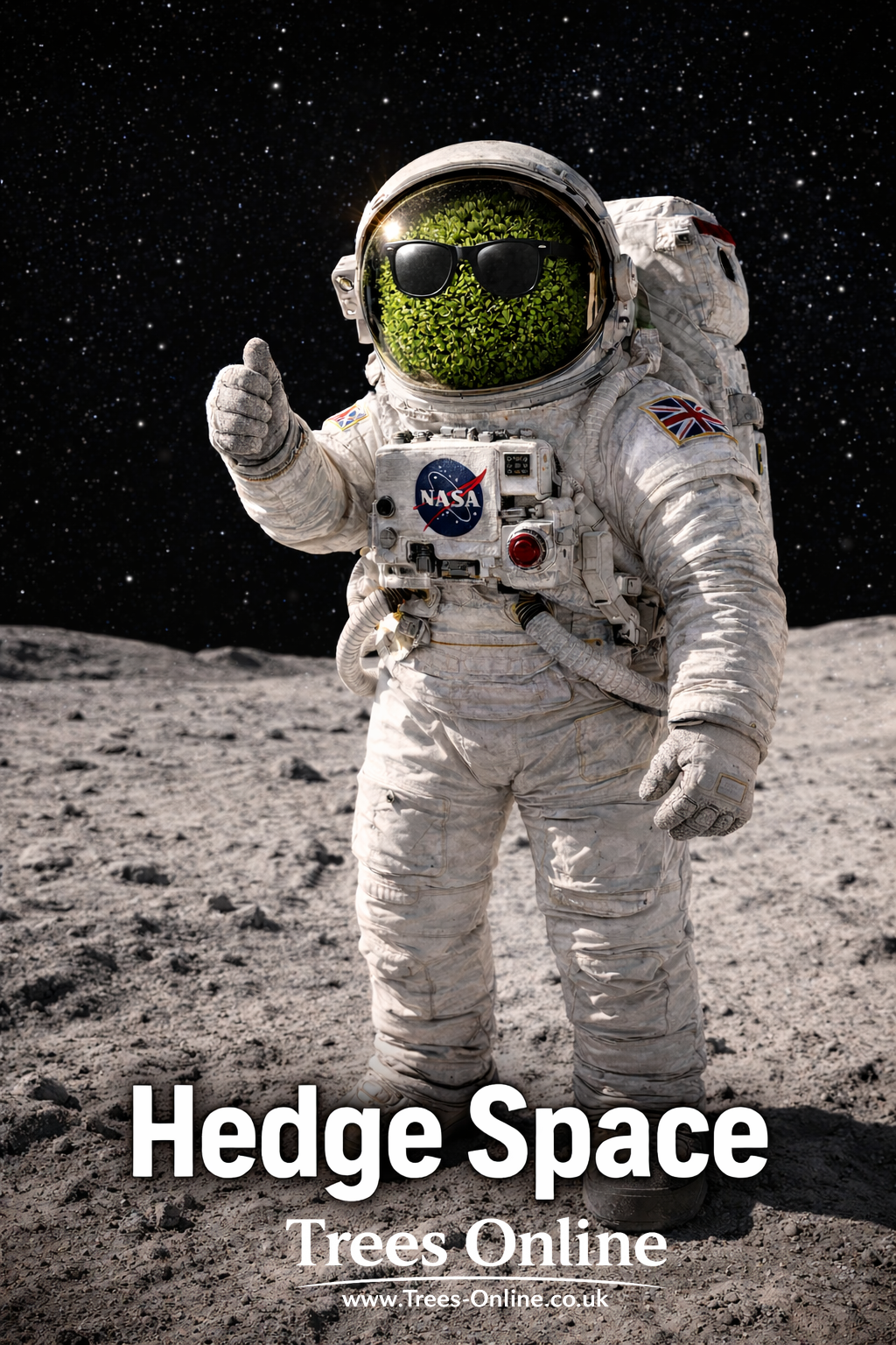 Illustration about hedge spacing requirements