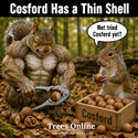 Cosford Hazelnut thin shell