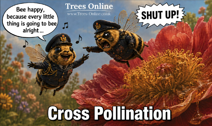 Cross pollination image showing bees moving pollen between compatible fruit tree varieties