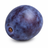 Damson tree buying guide