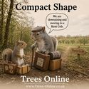 Kent Cob Hazelnut Tree