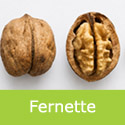 DELIVERED SEPTEMBER 2026 Fernette Walnut Tree
