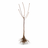 Fruit tree rootstocks explained