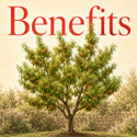 DELIVERED SEPTEMBER 2026 Peach Gorgeous Tree