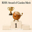 Gunslebert Hazel Award of Garden Merit