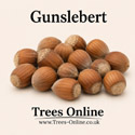 Gunslebert Hazel fruits