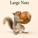 Gunslebert Hazel large nuts
