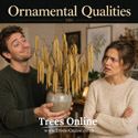 Gunslebert Hazel ornamental qualities