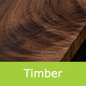 Mature Black Walnut Juglans Nigra