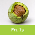 Juglans regia common walnut in husk