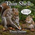Kent Cob Hazelnut Tree