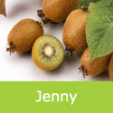 Actinidia Kiwi Jenny Plant or Vine