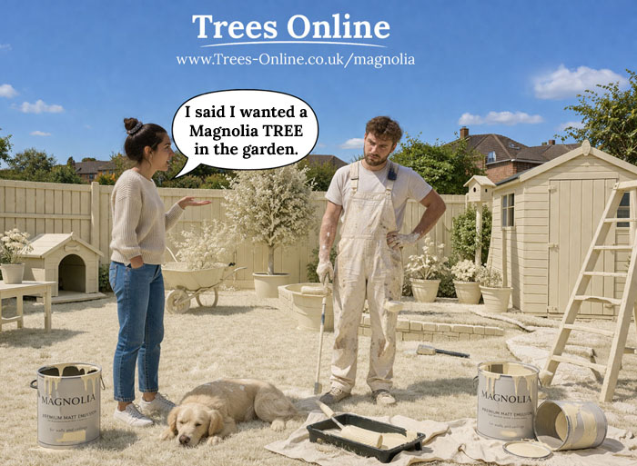 Magnolia garden meme