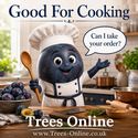 Merryweather damson tree good for cooking