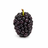 Mulberry tree buying guide