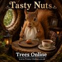 Nottingham Hazelnut tasty nuts