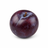 Plum tree buying guide