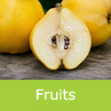 Aromatnaya quince fruits