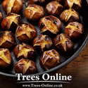 Roasted Sweet Chestnut Castanea Sativa
