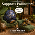 Sweet prune damson supports pollinators.