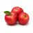Triploid apple tree pollination guide