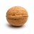 Walnut tree buying guide