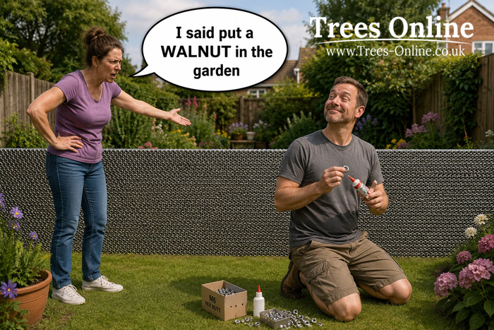 Walnut garden wall meme