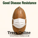 Webbs Prize Cobb good disease resistance