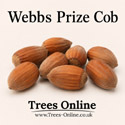 Webbs Prize Cobb nuts